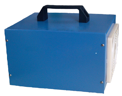 Portable ozone disinfection