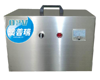 Portable ozone disinfection