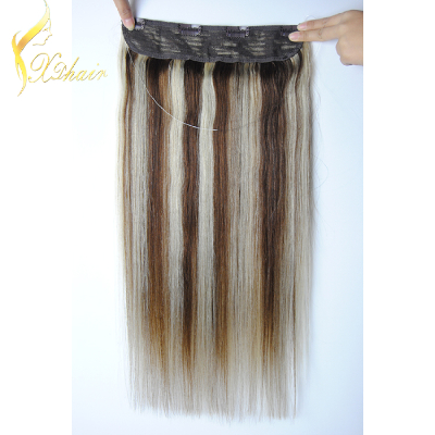 European Quality Customized Color 100%HumanRemySmoothSilkyStraightClipInHair Extension