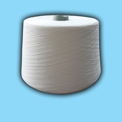 PLA Filament Yarn FDY 50D/48F Poly Lactic Acid Fiber Yarn