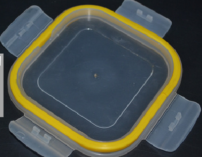 sealing ring