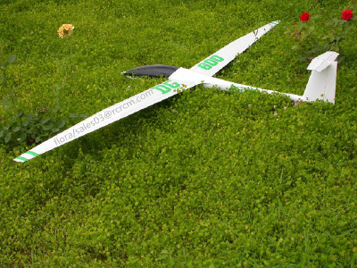 DG600-3.4m scale glider of RCRCM