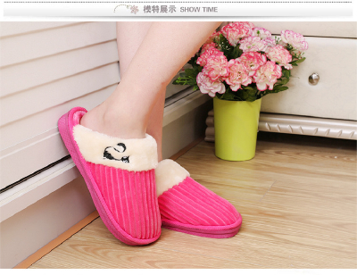 Home Slipper