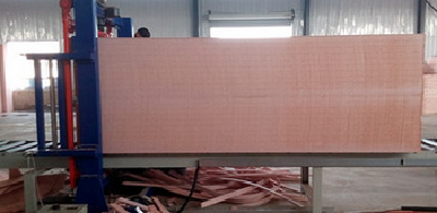  insulated form