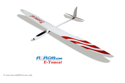 Tomcat-2.6m wingspan rc glider for sale