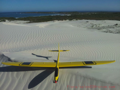 Hornet-2m electric rc glider of rcrcm