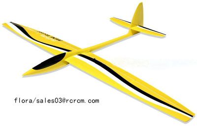 Minivec-1.69m aerobatic slope glider