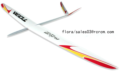 Toba-3m F3B slope remote control glider of RCRCM