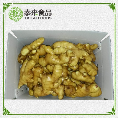 Chinese Professional Ginger Supplier Fresh Ginger