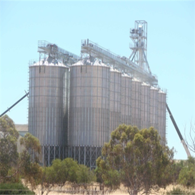 1000T Steel Grain Silos