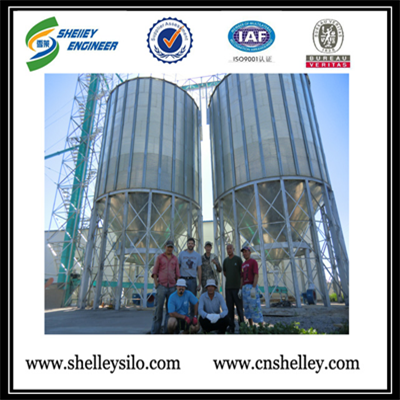 Steel Dry Grain Storge Silos For Rice