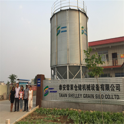 7000T Steel Grain Storge Silos