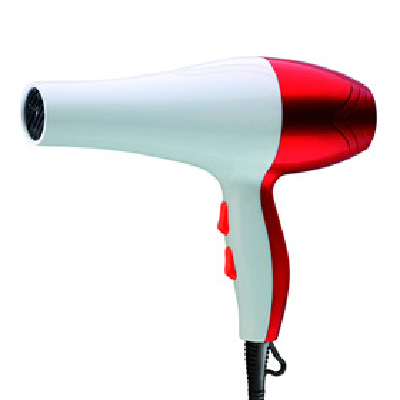 ZHONGWEI Electric Hair Drier