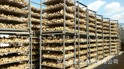 Chinese Popular Air Dried Ginger for Sale