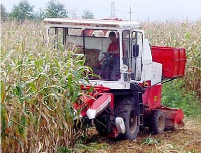 corn combine harvester with 3 rows