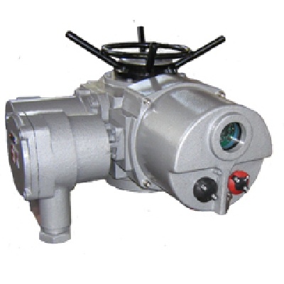  Multi-turn electric actuator
