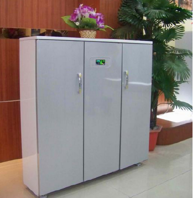 Gemei Electronic shoe category