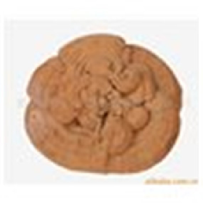 Ganoderma lucidum