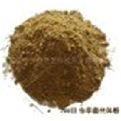 Ganoderma lucidum