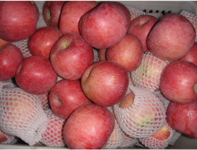 Fresh Qinguan apple