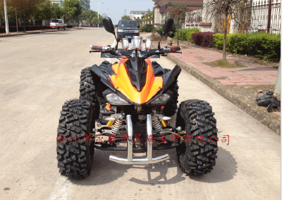 250CC ATV for Hot Sale