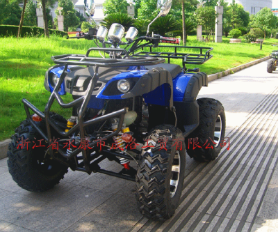 Different Model ATV for Hot Sale