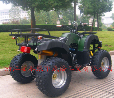 Different Model ATV for Hot Sale
