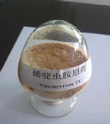 Acetamiprid  20%
