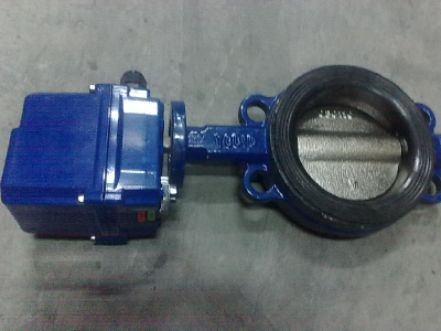 Bessie 60NM electric actuator