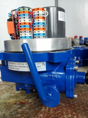 Bessie 240NM electric actuator