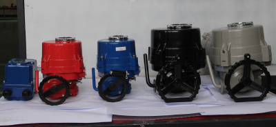 rotary electric actuator