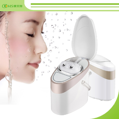 Electric Facial Steamer from China Factory