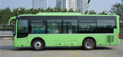 TICY BUS