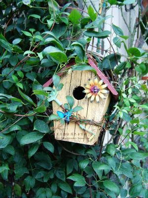 wooden roost