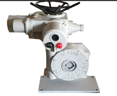 Bessie Multi-turn electric actuator