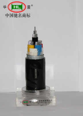 PVC insulated Power Cable with Rated Voltage of 0.6/1kV and Below(GB/T12706.1)