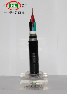 Polyethylene insulated Control Cable(GB/T 19330.2)