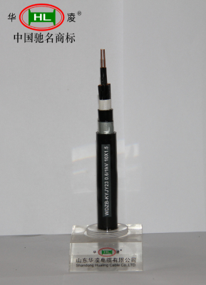 Cross-linked Polyethylene insulated Control Cable (GB/T9330.3)