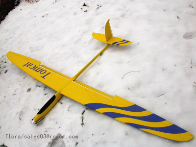 Tomcat-2.6m rc plane for sale