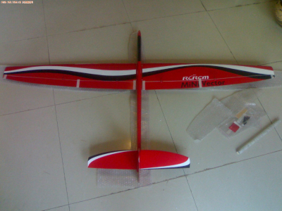 Minivec-1.69m aerobatic slope plane