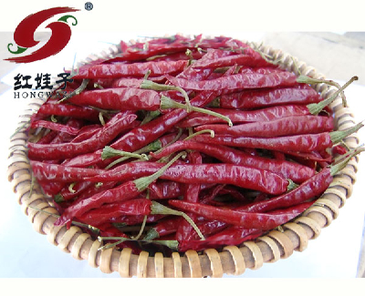 Wangdu Law chili