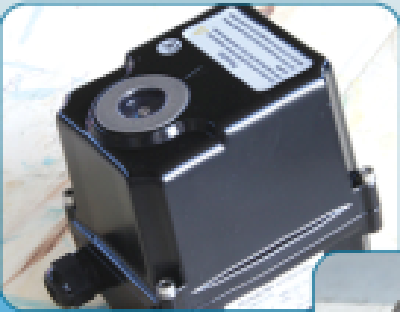 Bessie Quarter-turn Electric Actuator