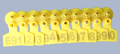 Pig Ear Tag Manufacturer With Competitive Price
