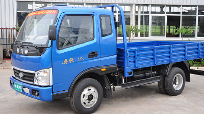 wuzheng 10 ton 4*2 Cargo truck