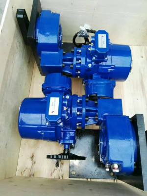 Bessie Quarter-turn Electric Actuator