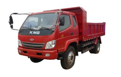 Tking dump Truck 2 Ton