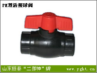 PE injection double union ball valve