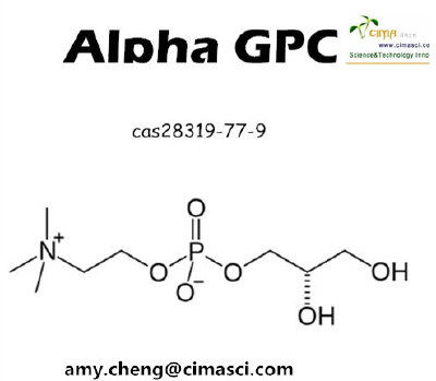 Alpha GPC/28319-77-9