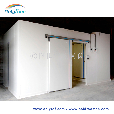 Pu panel commercial cold room