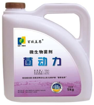 organic fertilizer